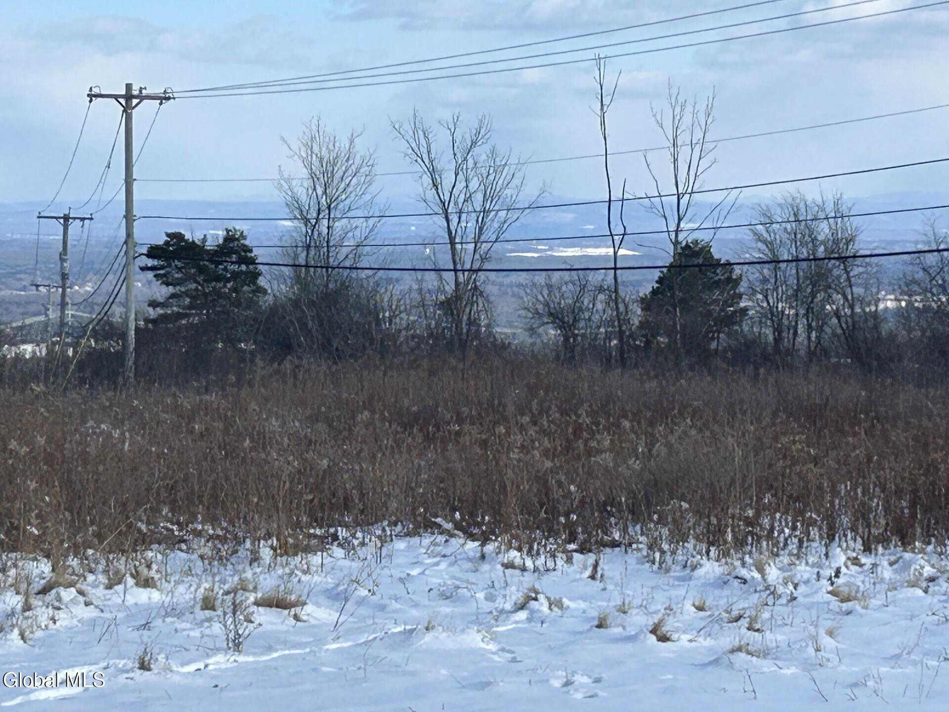 L53 Rr 156 Altamont, NY 12009 - Photo 4 of 12 10