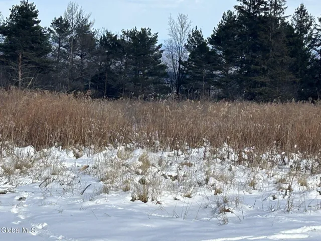 $55,000 | L53 Rr 156, Altamont, NY 12009