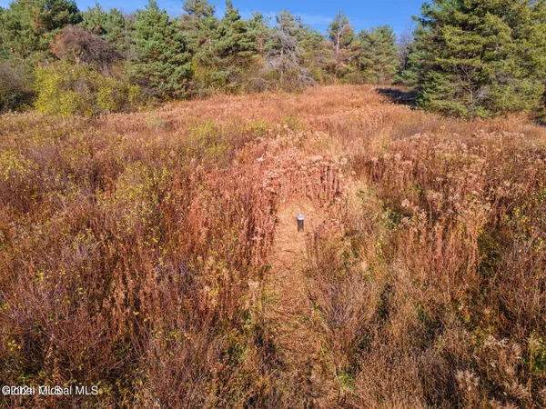 $49,900 | L53 Rr 156, Altamont, NY 12009