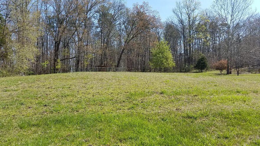 965 Blockhouse Valley Road Clinton, TN 37716 - Photo 22 of 31 Beautiful Land!