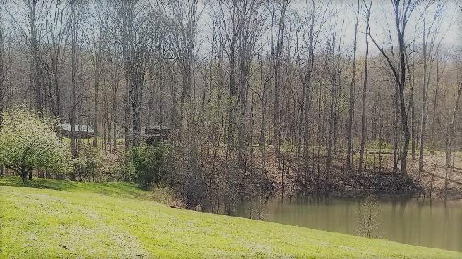 965 Blockhouse Valley Road Clinton, TN 37716 - Photo 7 of 31 Part of Pond on Property