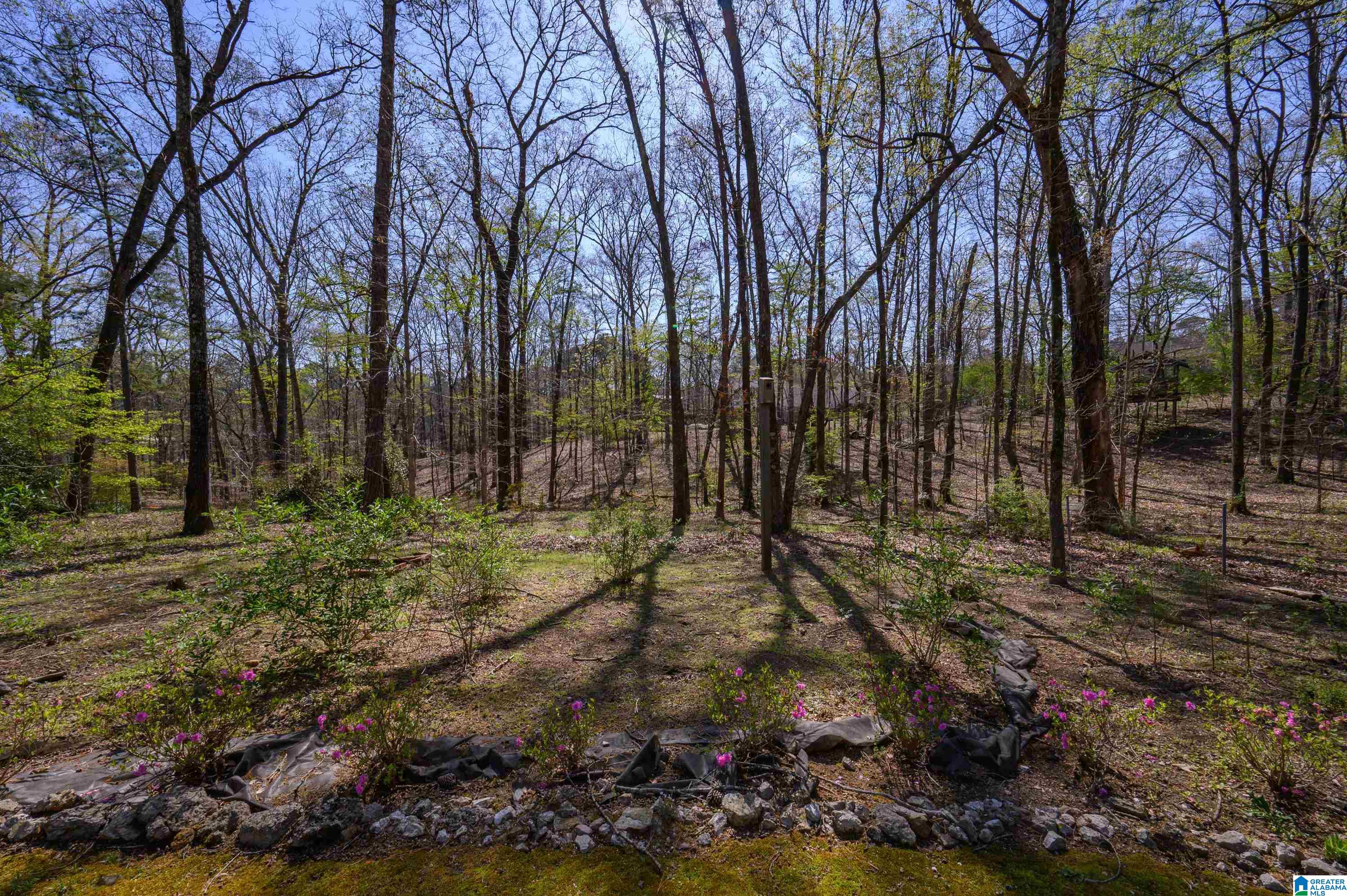 5373 Harvest Ridge Lane Birmingham, AL 35242 - Photo 49 of 53
