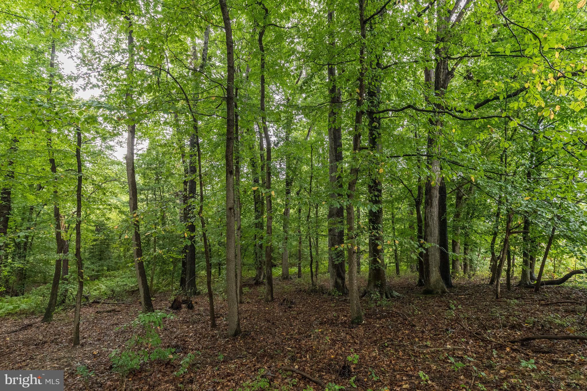 36 Laurel Bowie Road Laurel, MD 20708 - Photo 2 of 10 Ground View