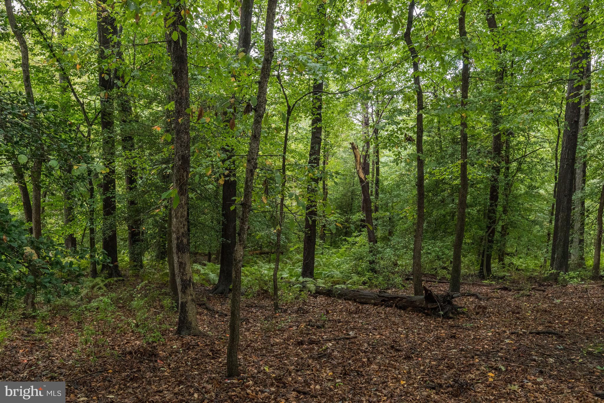 36 Laurel Bowie Road Laurel, MD 20708 - Photo 9 of 10 Ground View