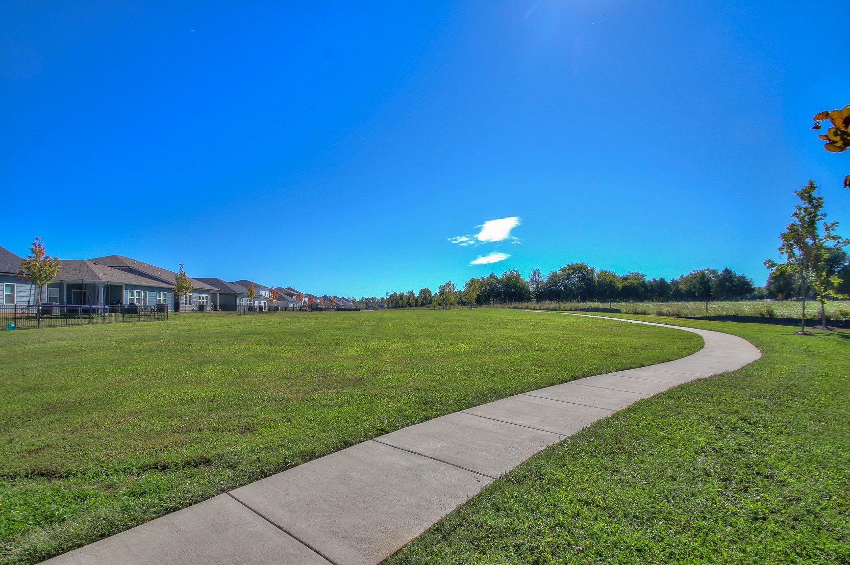3528 Mathewson Way Murfreesboro, TN 37128 - Photo 18 of 22 a view of a house with a big yard