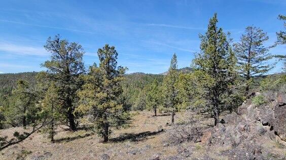 1315 Lofton Creek Road Prineville, OR 97754 - Photo 28 of 61 image000002 (1)