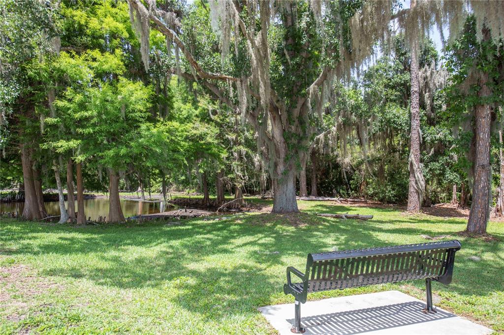 3746 Dogtrot Street New Port Richey, FL 34655 - Photo 43 of 50