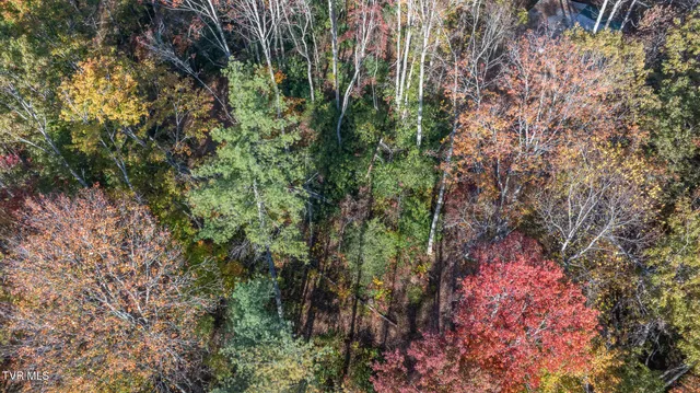 $135,000 | 299 Morton Road, Hampton, TN 37658