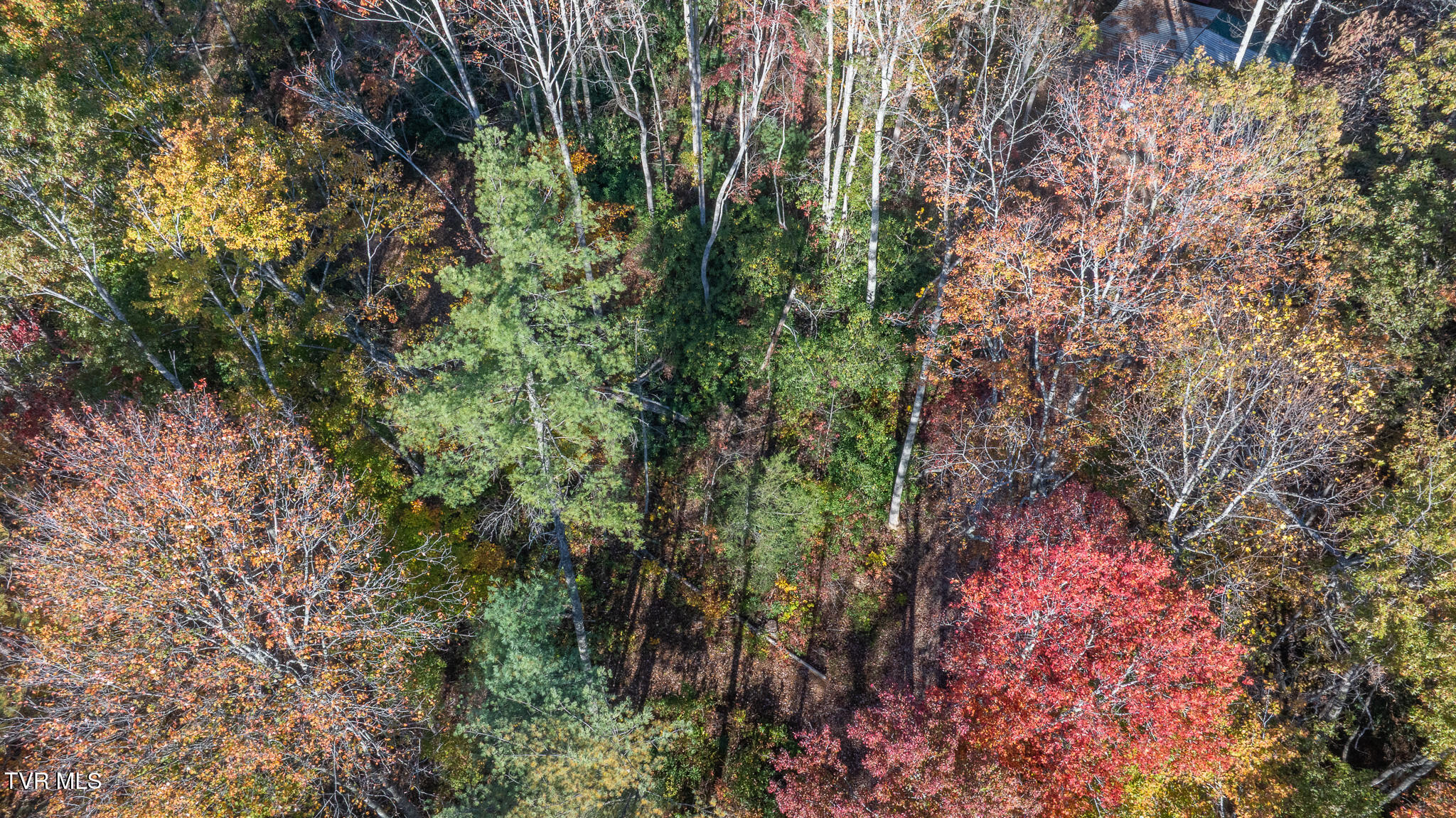 299 Morton Road Hampton, TN 37658 - Photo 13 of 14 dji_fly_20251023_092832_0315_17612263679