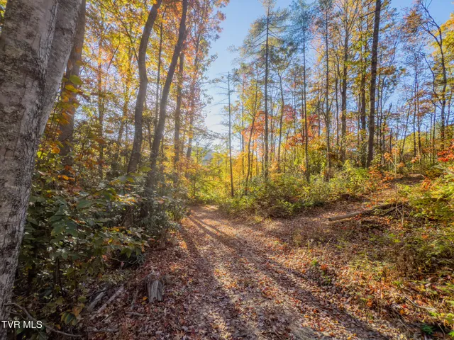 $135,000 | 299 Morton Road, Hampton, TN 37658