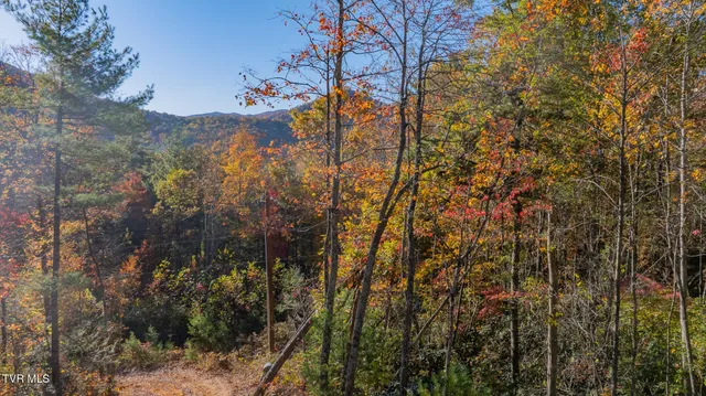 $135,000 | 299 Morton Road, Hampton, TN 37658