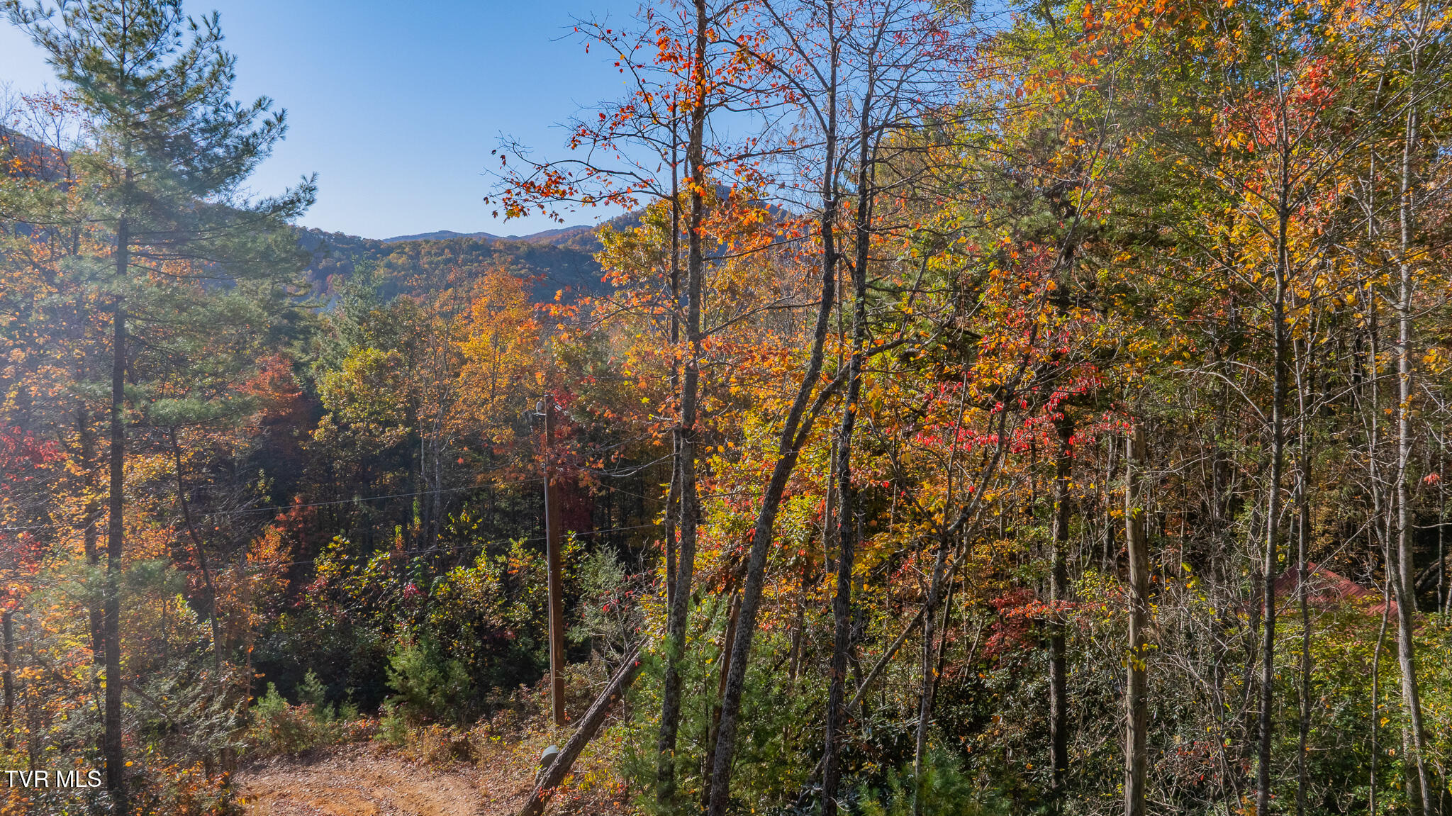 299 Morton Road Hampton, TN 37658 - Photo 7 of 14 dji_fly_20251023_092550_0300_17612263730