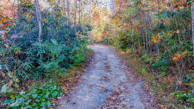 $135,000 | 299 Morton Road, Hampton, TN 37658