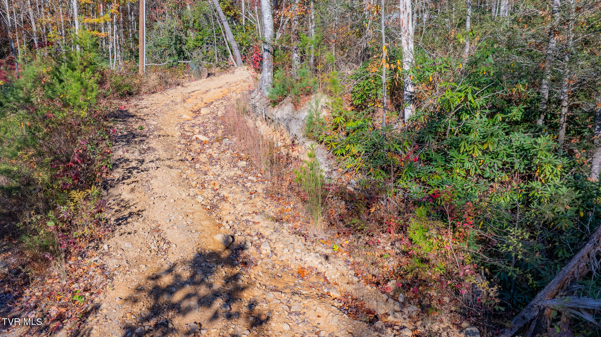 299 Morton Road Hampton, TN 37658 - Photo 9 of 14 dji_fly_20251023_093146_0336_17612263610