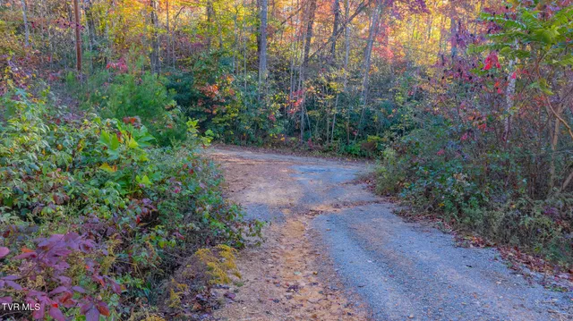 $135,000 | 299 Morton Road, Hampton, TN 37658