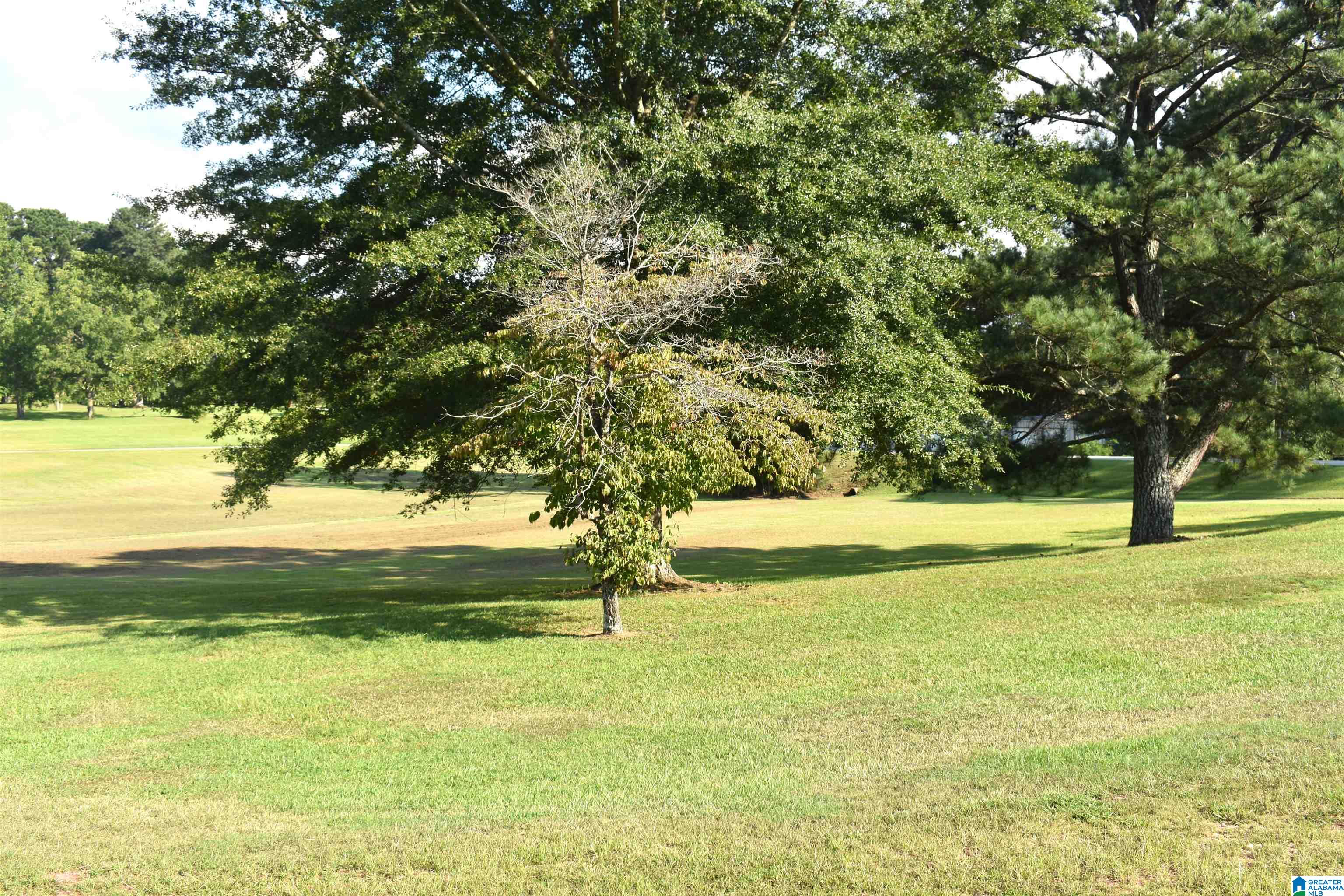 3030 Arkadelphia Road Hayden, AL 35079 - Photo 7 of 25
