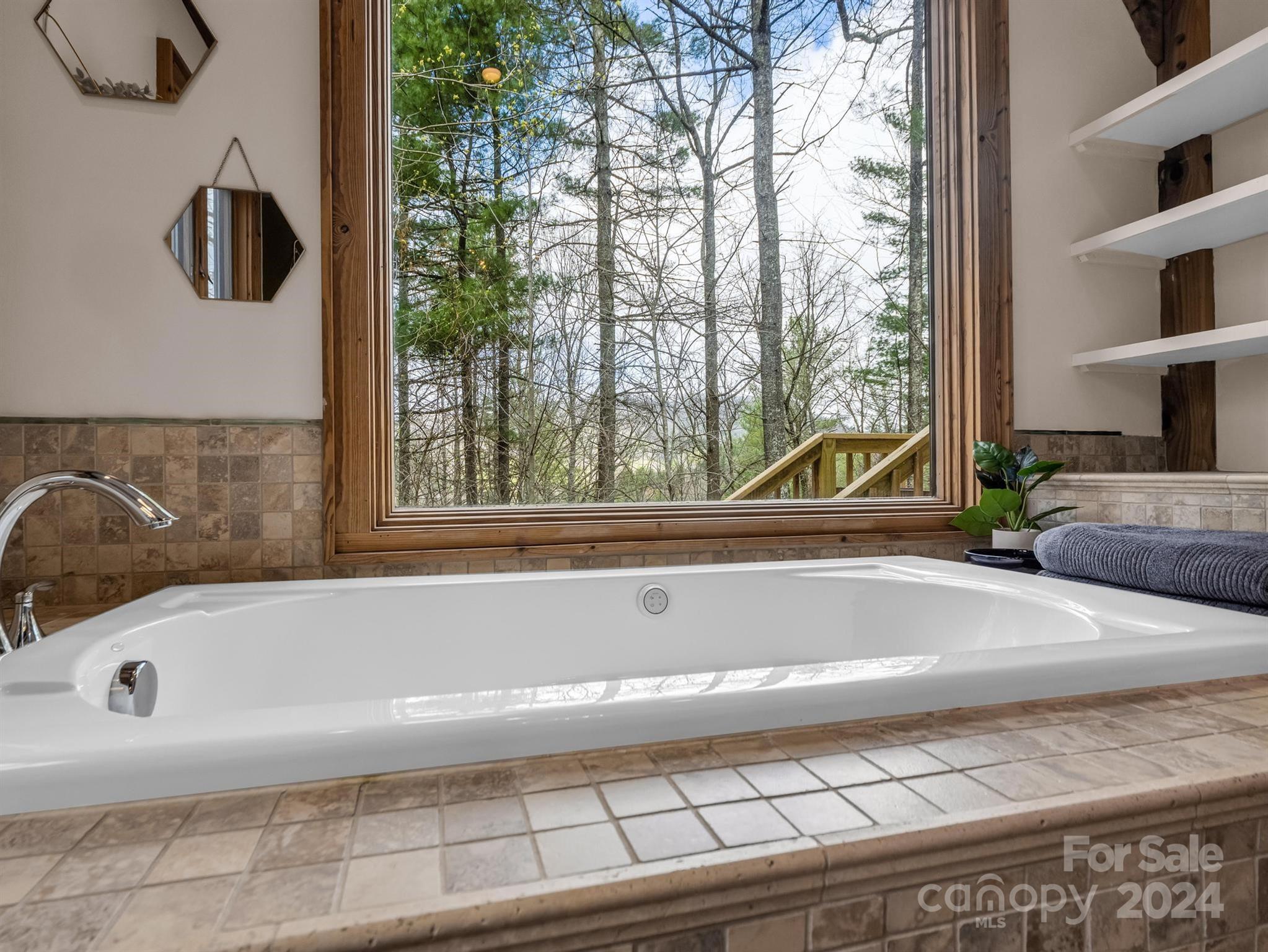 255 Oscar Young Road Mars Hill, NC 28754 - Photo 30 of 48 a bath tub sitting next to a window