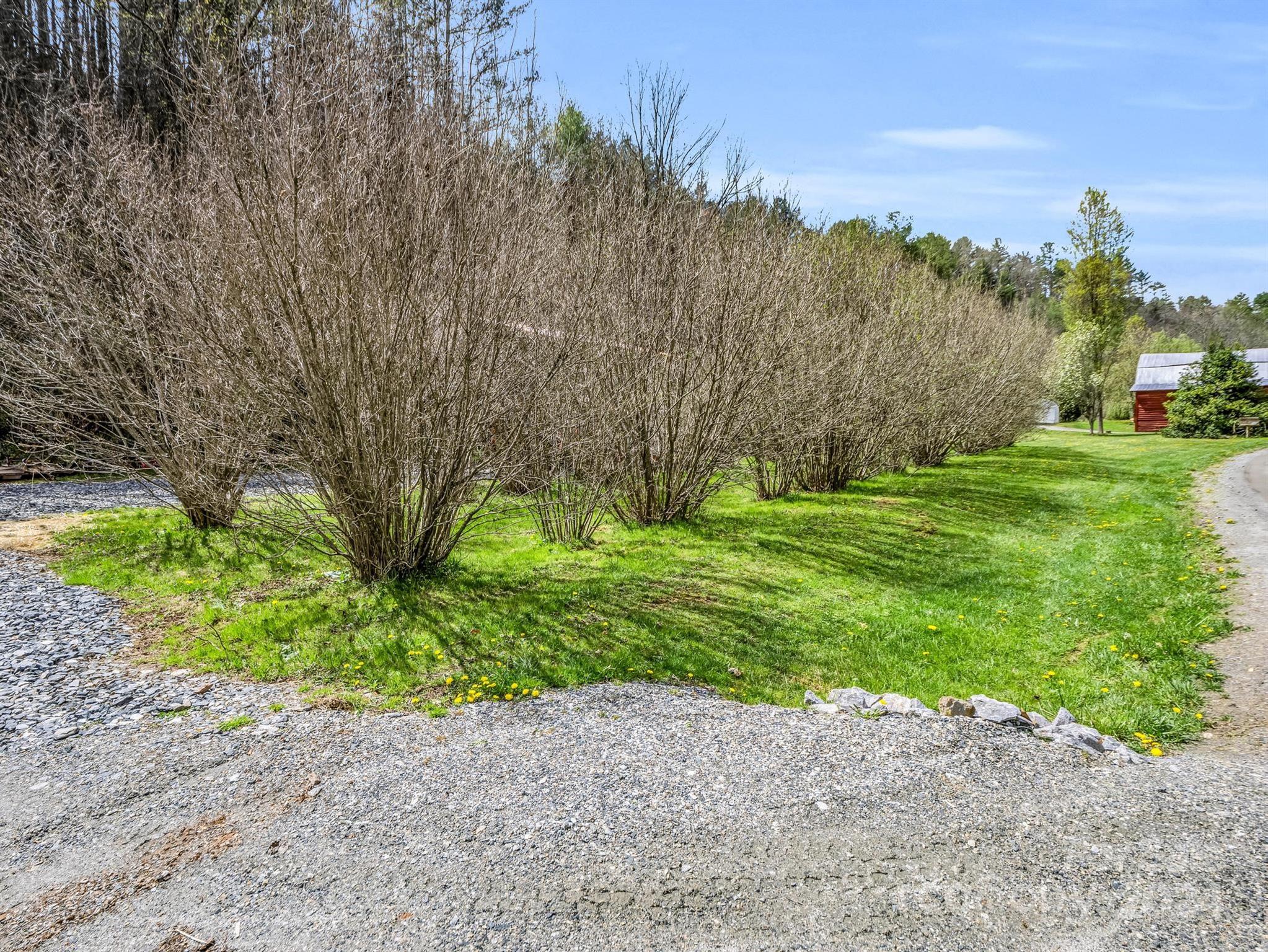 255 Oscar Young Road Mars Hill, NC 28754 - Photo 46 of 48 a backyard of a house with lots of green space