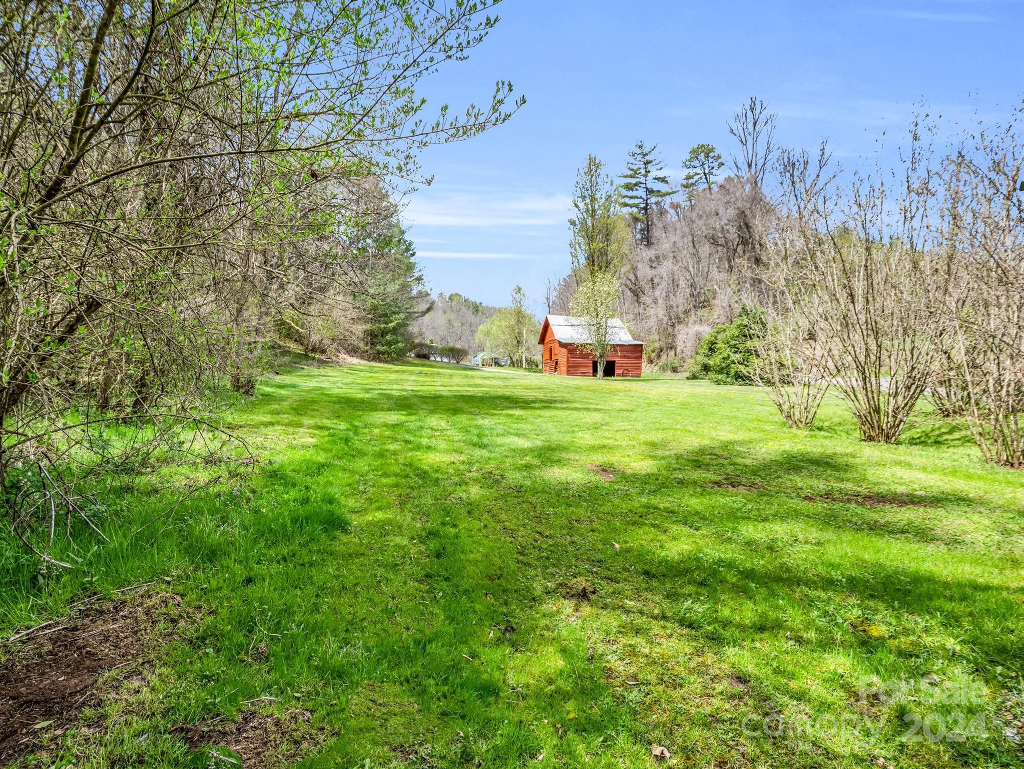 255 Oscar Young Road Mars Hill, NC 28754 - Photo 47 of 48 a view of a field with large trees