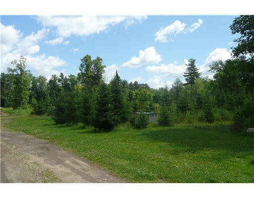 14 Old Orchard Road Buxton, ME 04093 - Photo 4 of 15 Land/Lot. Christmas Trees