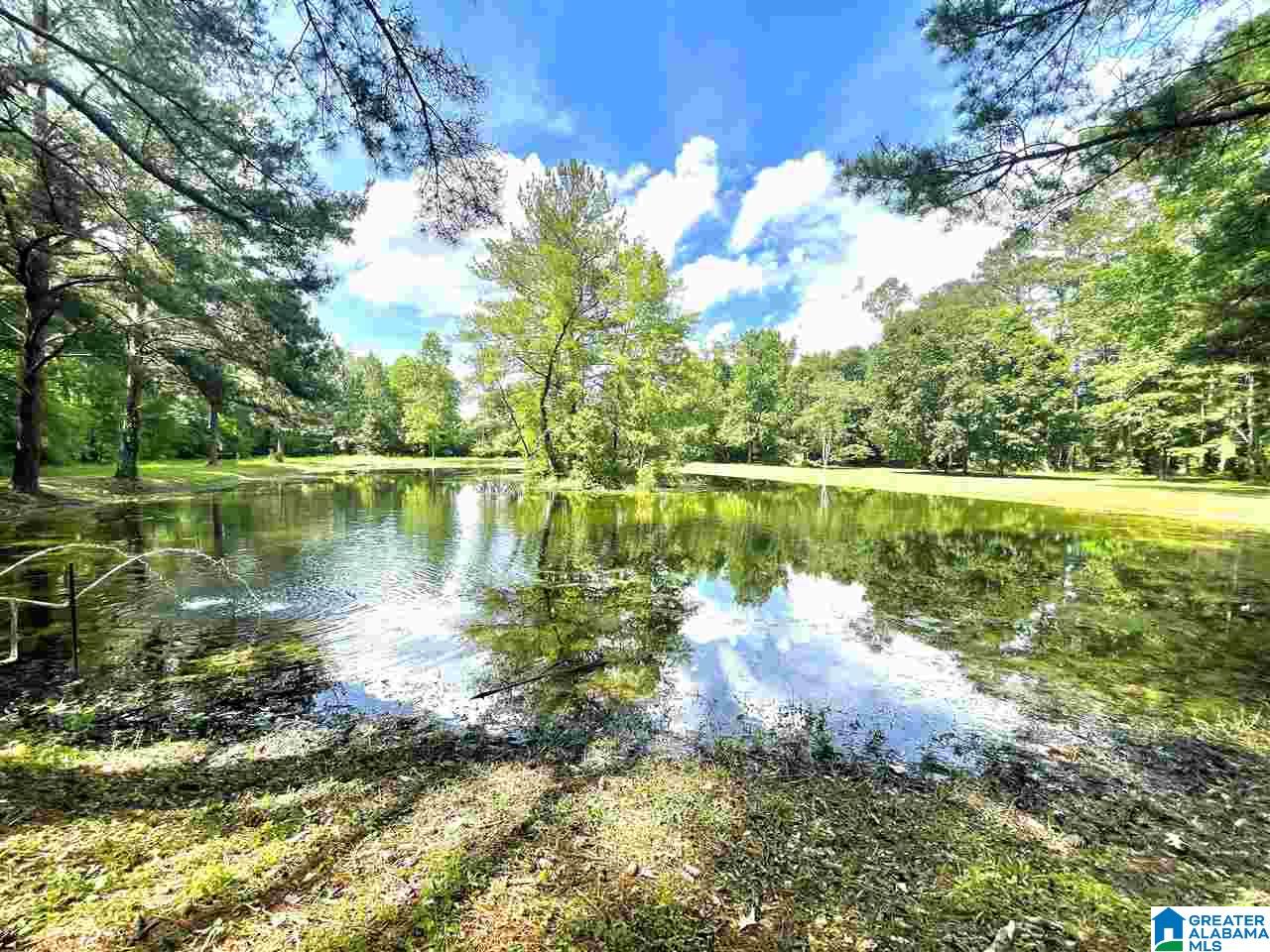 5096 Pleasant Hill Road Bessemer, AL 35022 - Photo 40 of 48