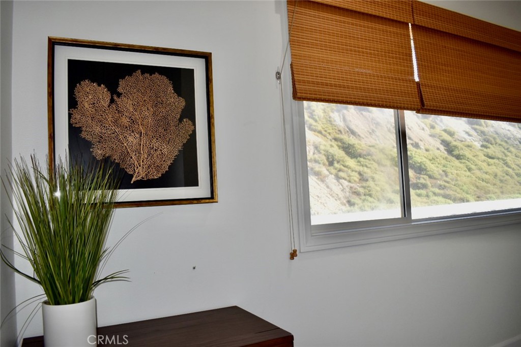 35605 Beach Road Dana Point, CA 92624 - Photo 42 of 55 a view of a small room with a large window with a flower pot