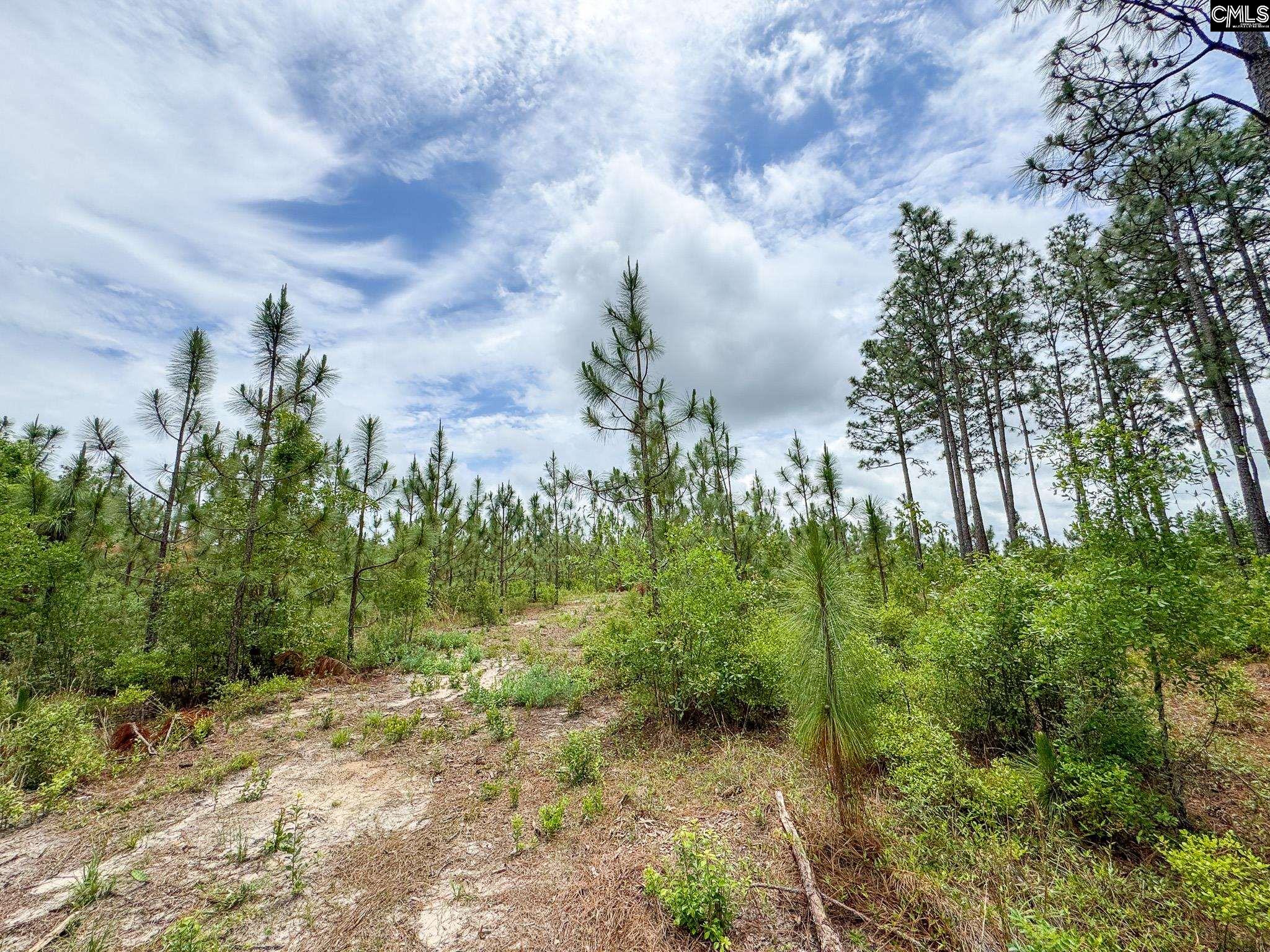 0 Neely Wingard Road, Unit LOT 9 Leesville, SC 29070 - Photo 4 of 7