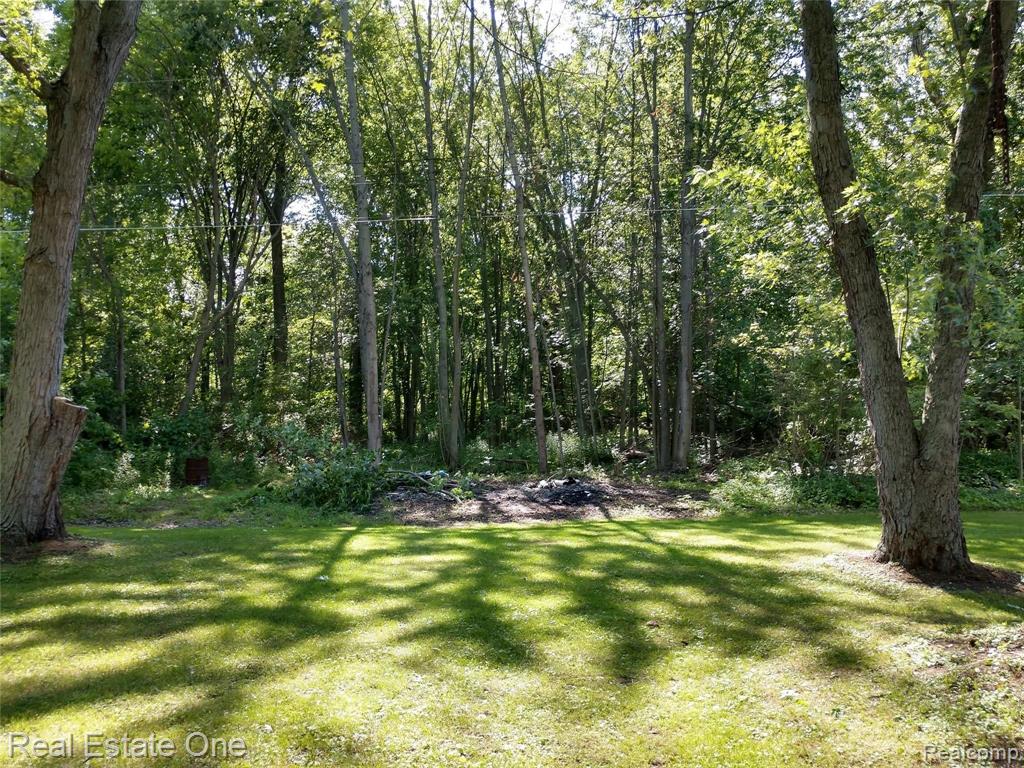 4464 Kirk Road Vassar, MI 48768 - Photo 6 of 20