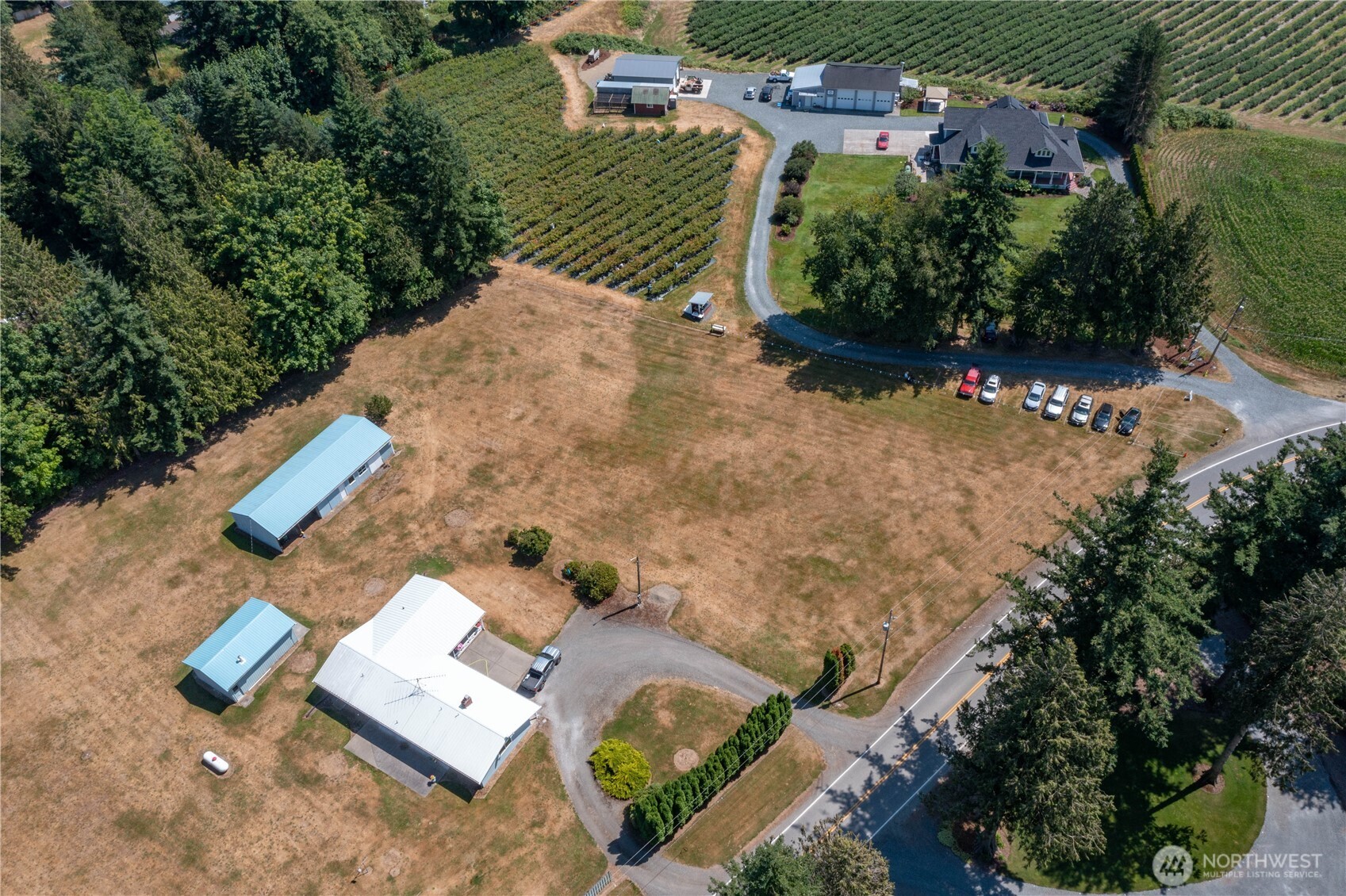 3599 Breckenridge Road Everson, WA 98247 - Photo 8 of 17