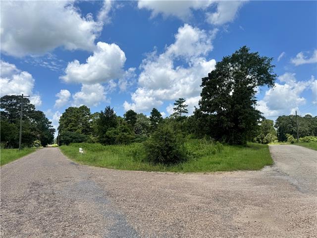 72045 South Lewiston Road Kentwood, LA 70444 - Photo 10 of 17