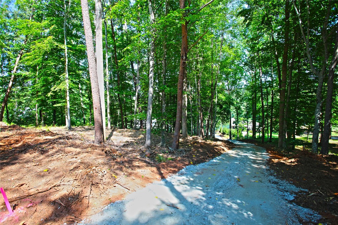 1359 Hbr Rdg Road Seneca, SC 29672 - Photo 13 of 39 Mature trees and a gravel driveway invite you into this verdant, undeveloped lot.