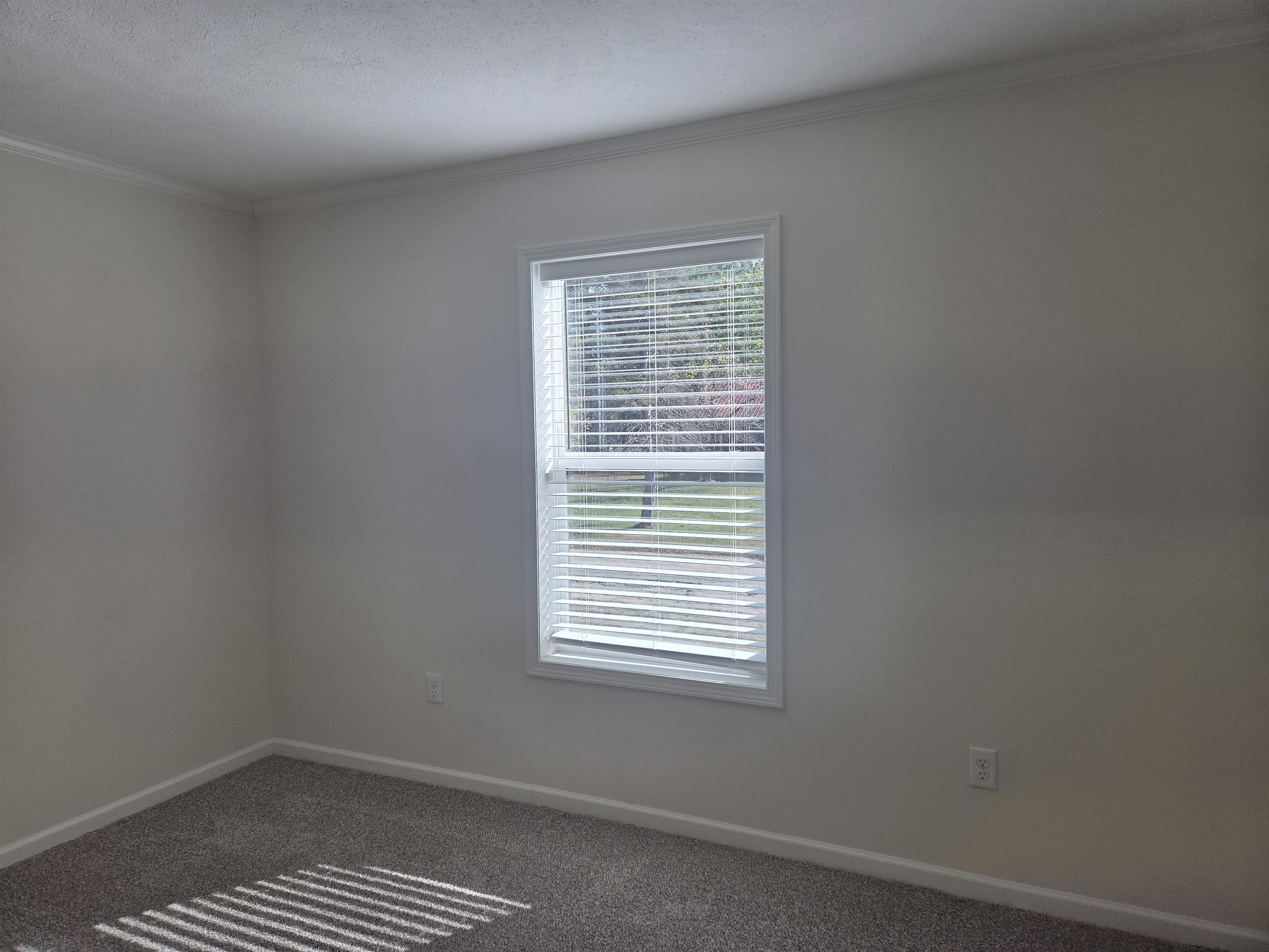 51 Turkey Jim Road Campton, NH 03223 - Photo 11 of 25