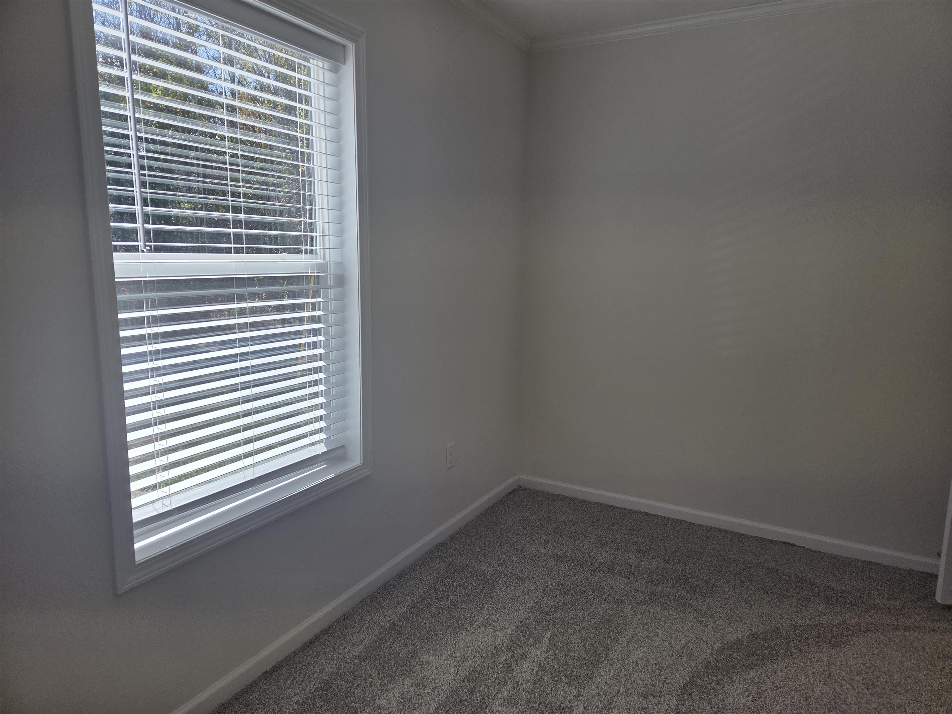 51 Turkey Jim Road Campton, NH 03223 - Photo 14 of 25