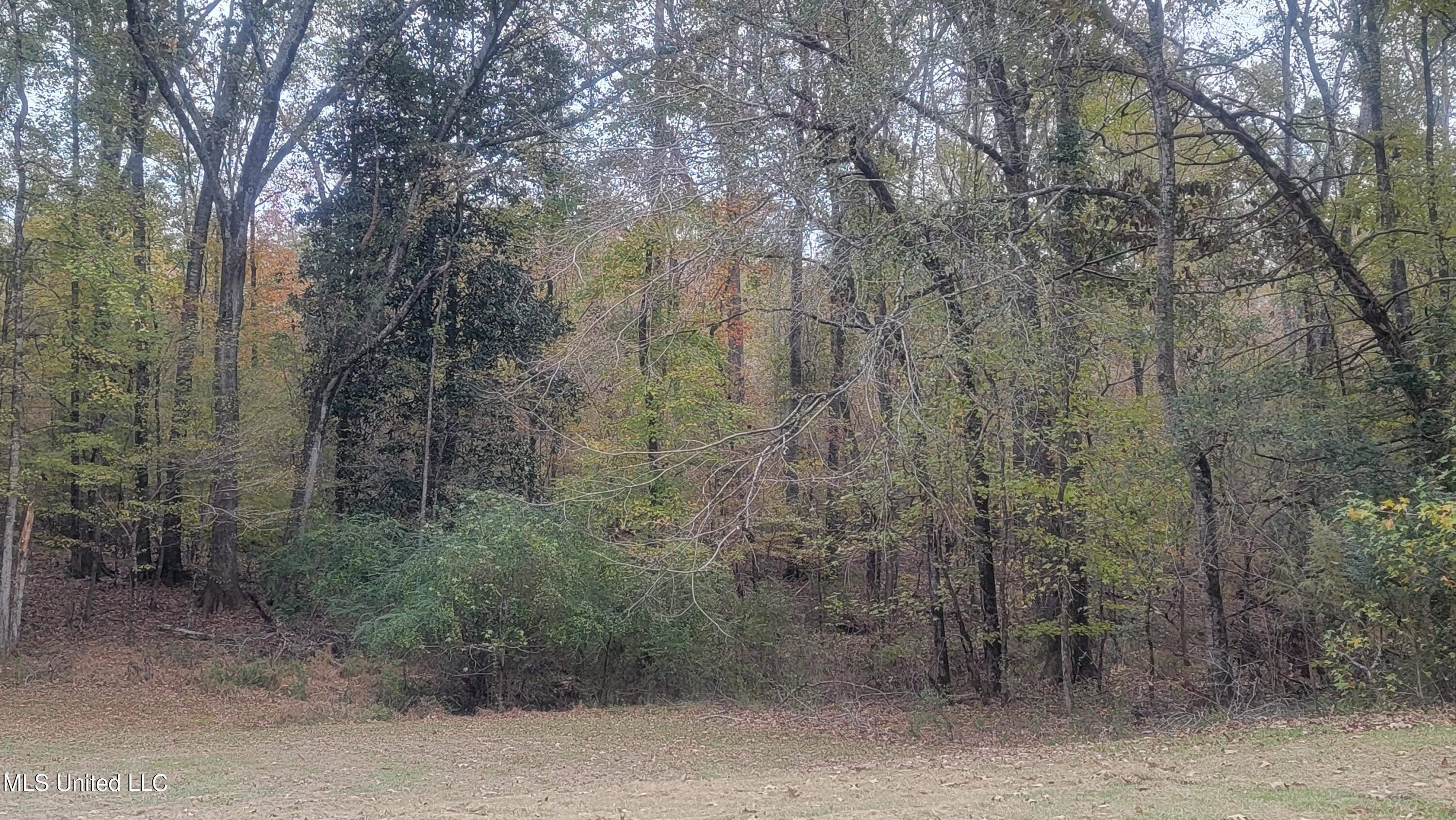 2945 Tom Cain Road Utica, MS 39175 - Photo 37 of 42 20241207_160532
