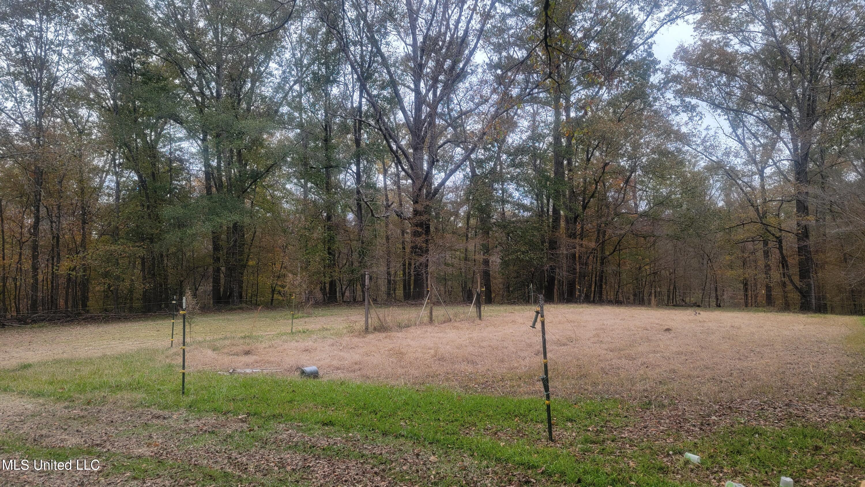 2945 Tom Cain Road Utica, MS 39175 - Photo 5 of 42 20241207_155034