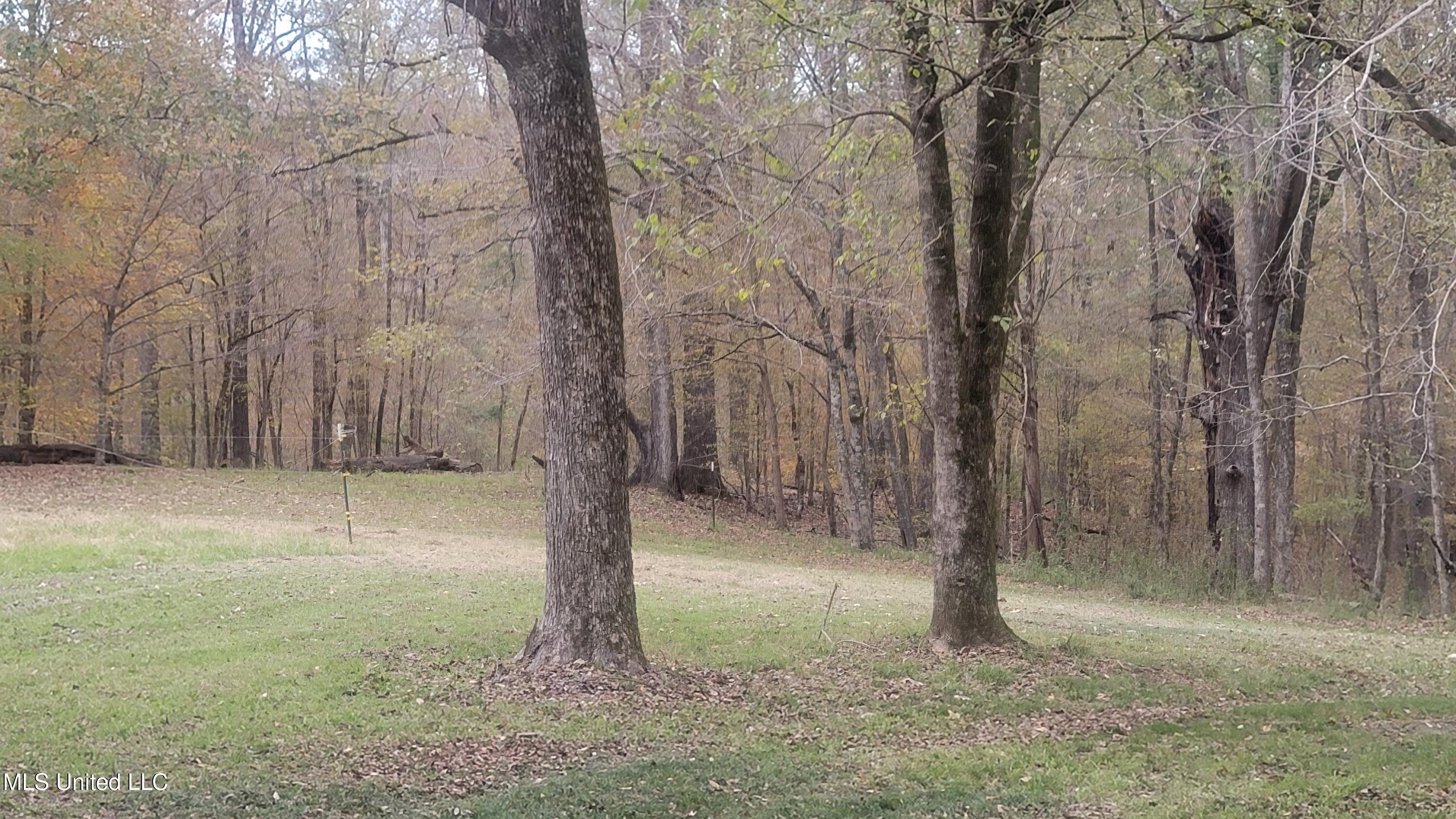 2945 Tom Cain Road Utica, MS 39175 - Photo 6 of 42 20241207_155110