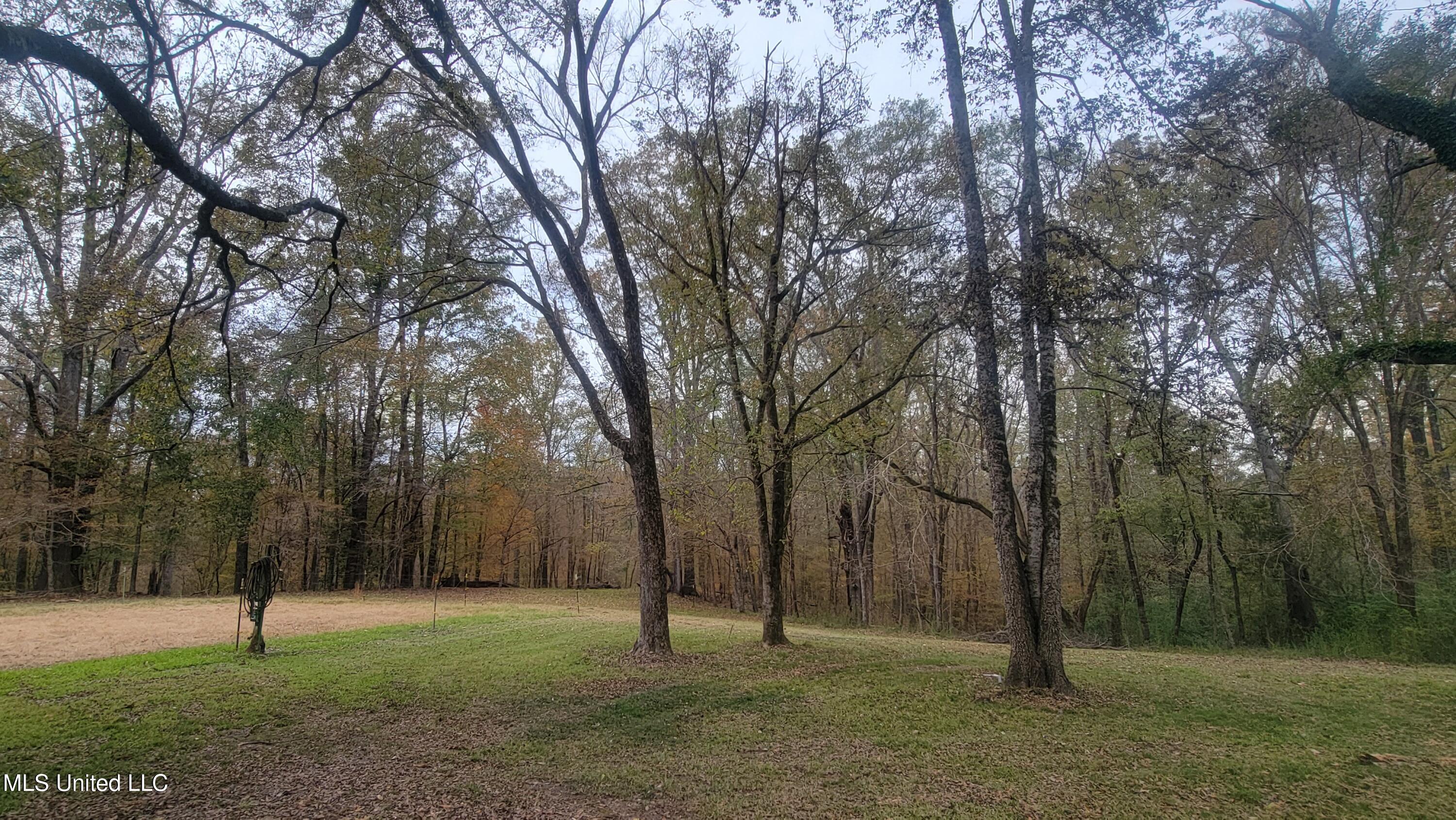 2945 Tom Cain Road Utica, MS 39175 - Photo 7 of 42 20241207_155116