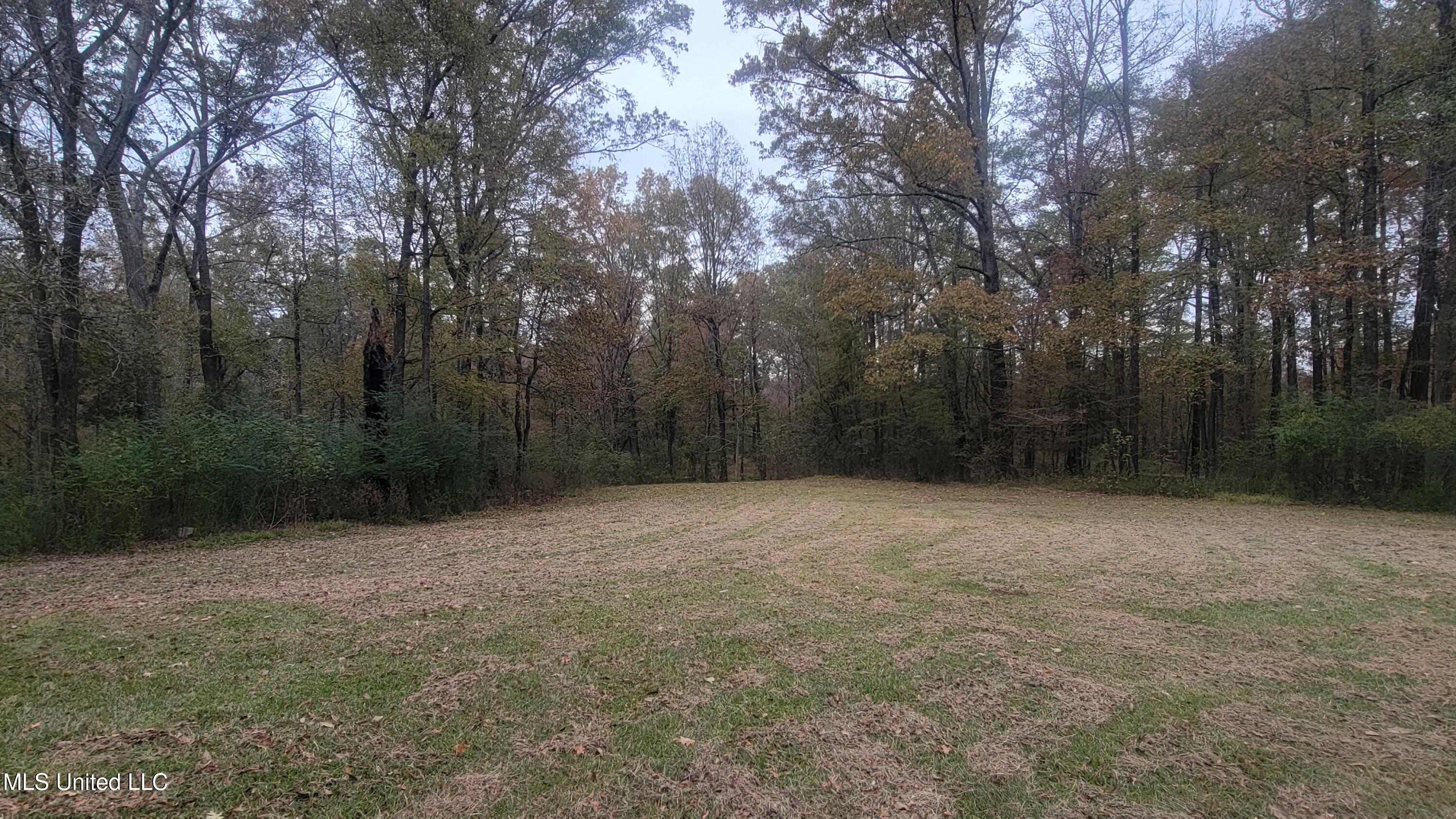 2945 Tom Cain Road Utica, MS 39175 - Photo 8 of 42 20241207_155140