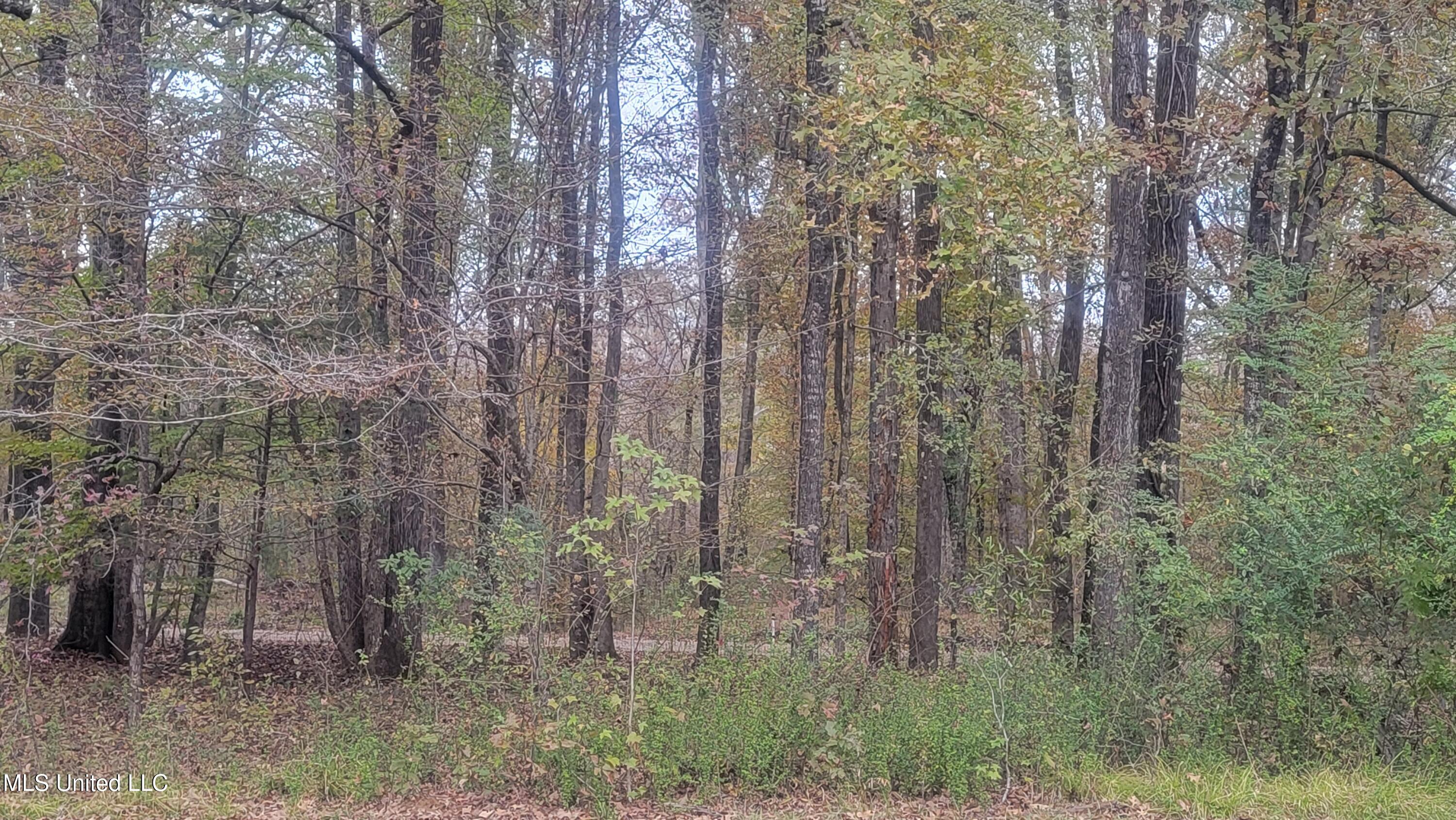 2945 Tom Cain Road Utica, MS 39175 - Photo 9 of 42 20241207_155200