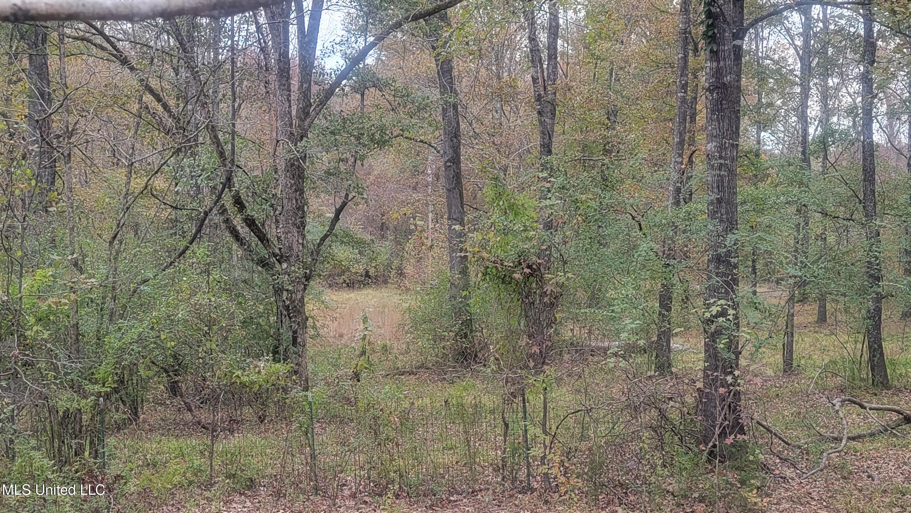 2945 Tom Cain Road Utica, MS 39175 - Photo 10 of 42 20241207_155227
