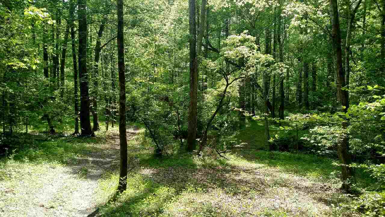 22-ac Slater Road Anderson, SC 29621 - Photo 14 of 23