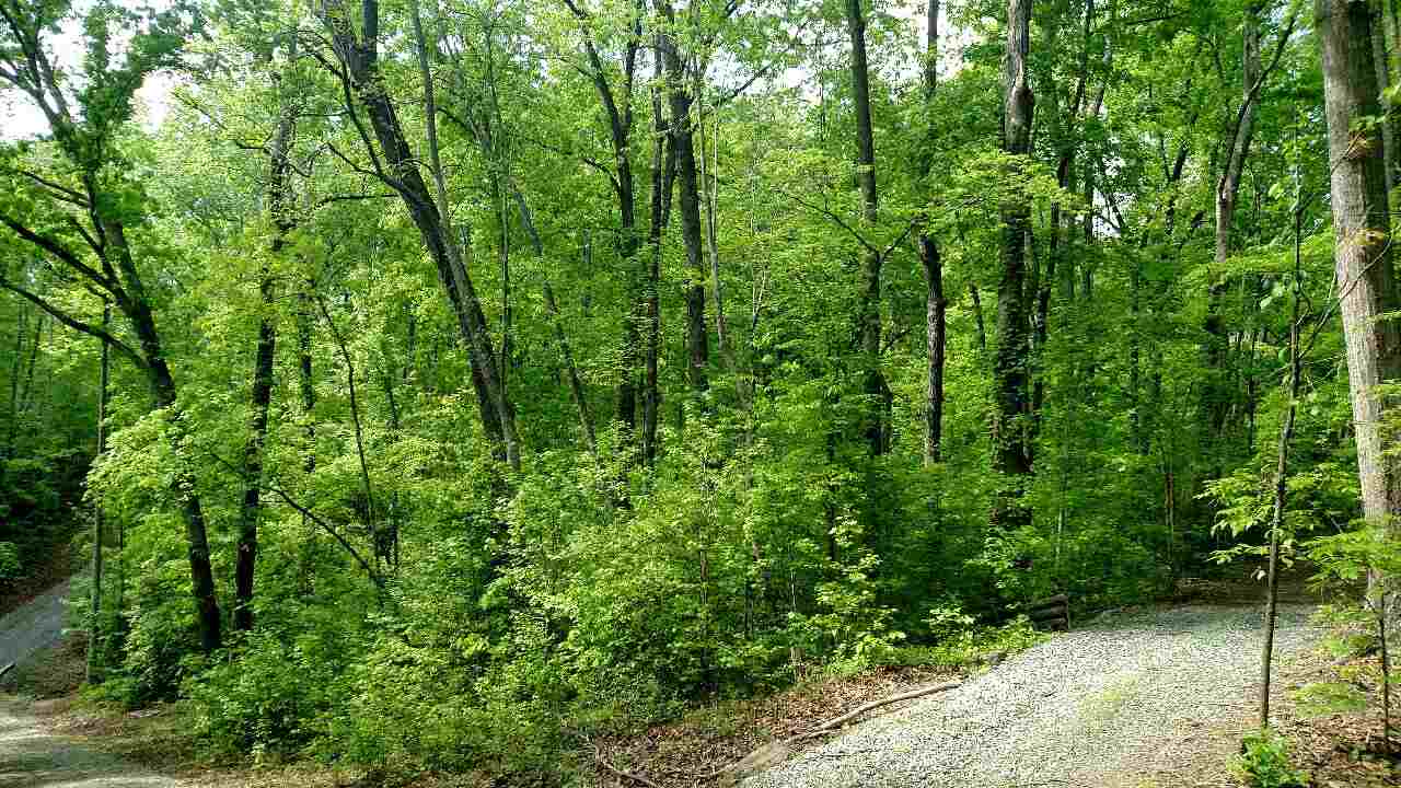 22-ac Slater Road Anderson, SC 29621 - Photo 9 of 23