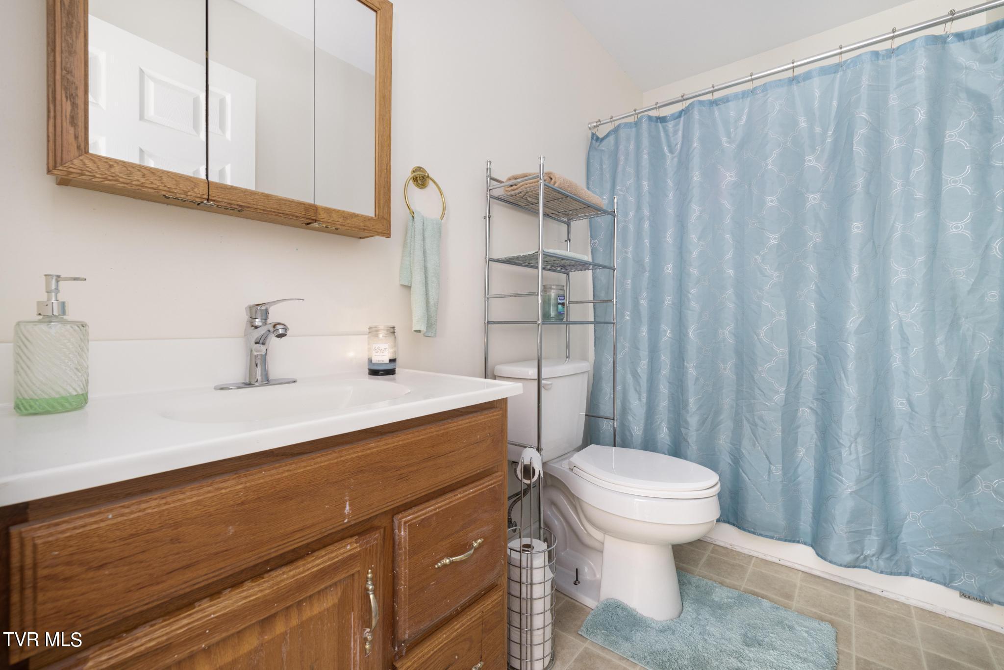 221 Judge Ben Allen Road Elizabethton, TN 37643 - Photo 26 of 44 Full bathroom upstairs