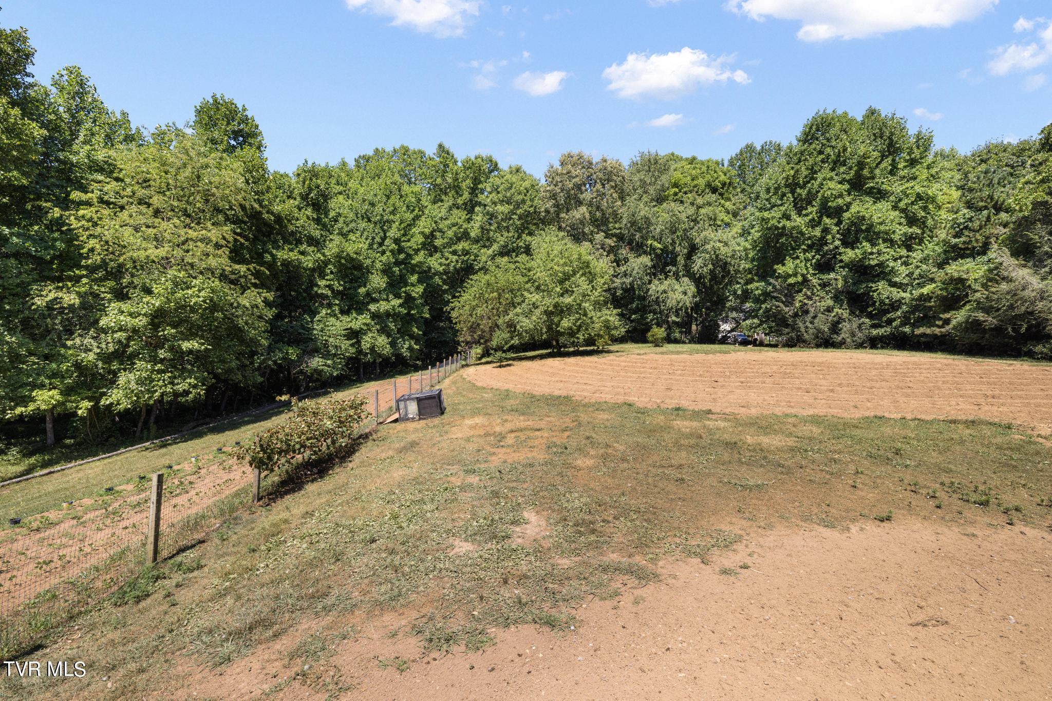 221 Judge Ben Allen Road Elizabethton, TN 37643 - Photo 36 of 44 Backyard area with gardnes