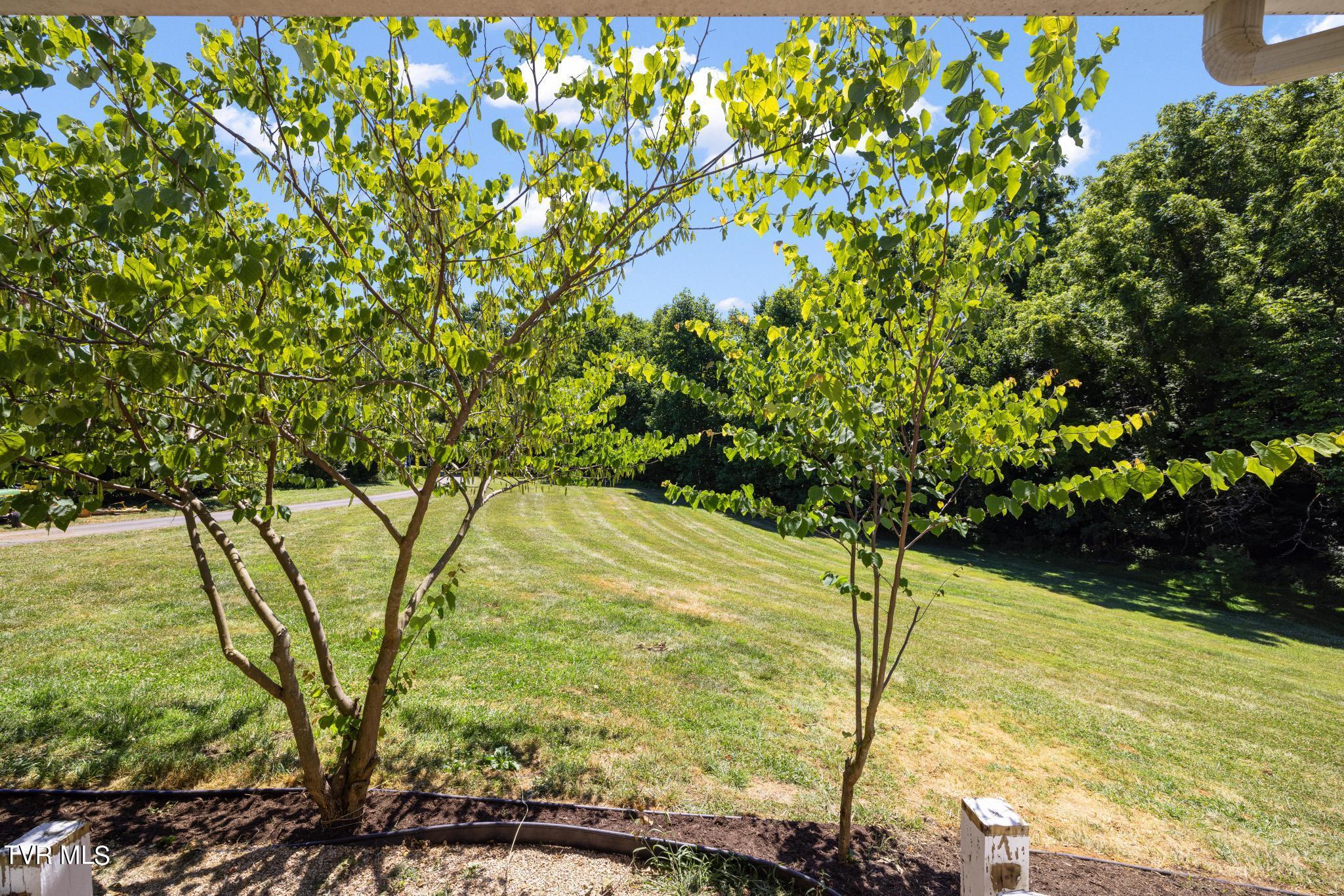 221 Judge Ben Allen Road Elizabethton, TN 37643 - Photo 9 of 44 View from front porch