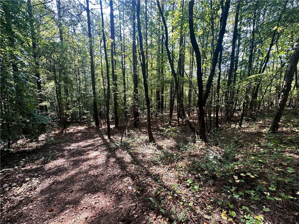 7330 Frix Road Cumming, GA 30028 - Photo 11 of 32 a view of forest