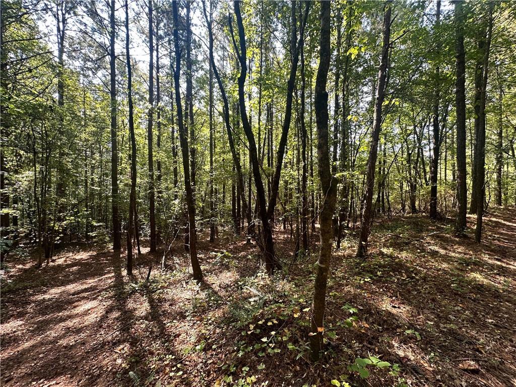 7330 Frix Road Cumming, GA 30028 - Photo 14 of 32 a view of outdoor space with lots of trees