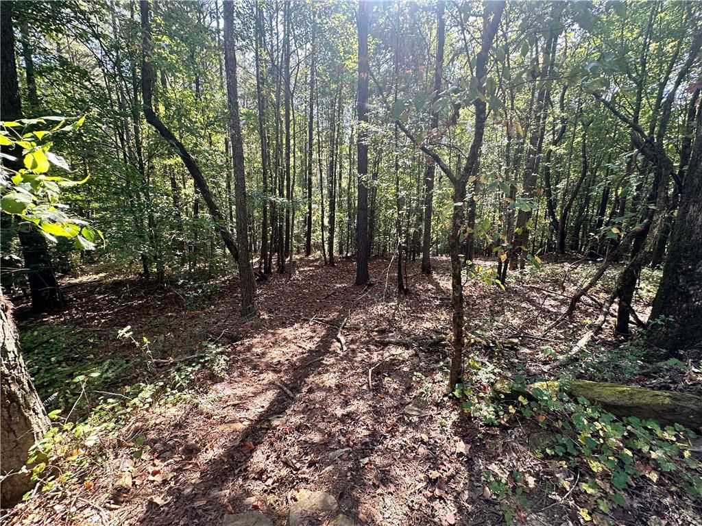 7330 Frix Road Cumming, GA 30028 - Photo 15 of 32 a view of a forest with trees