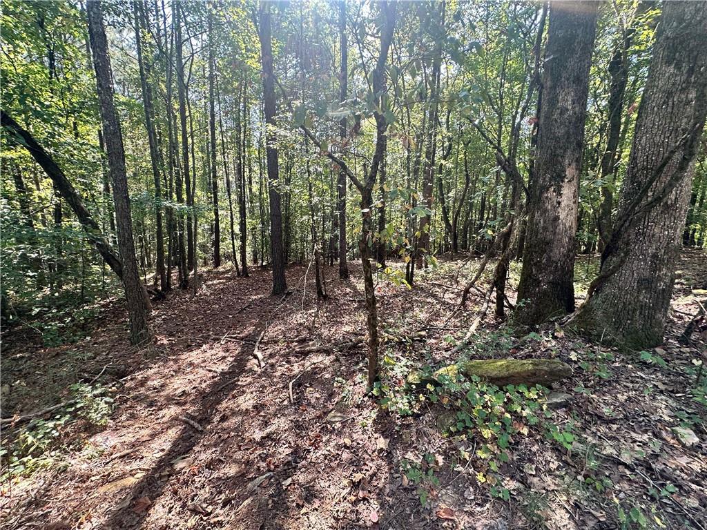7330 Frix Road Cumming, GA 30028 - Photo 16 of 32 a view of a forest with trees in the background