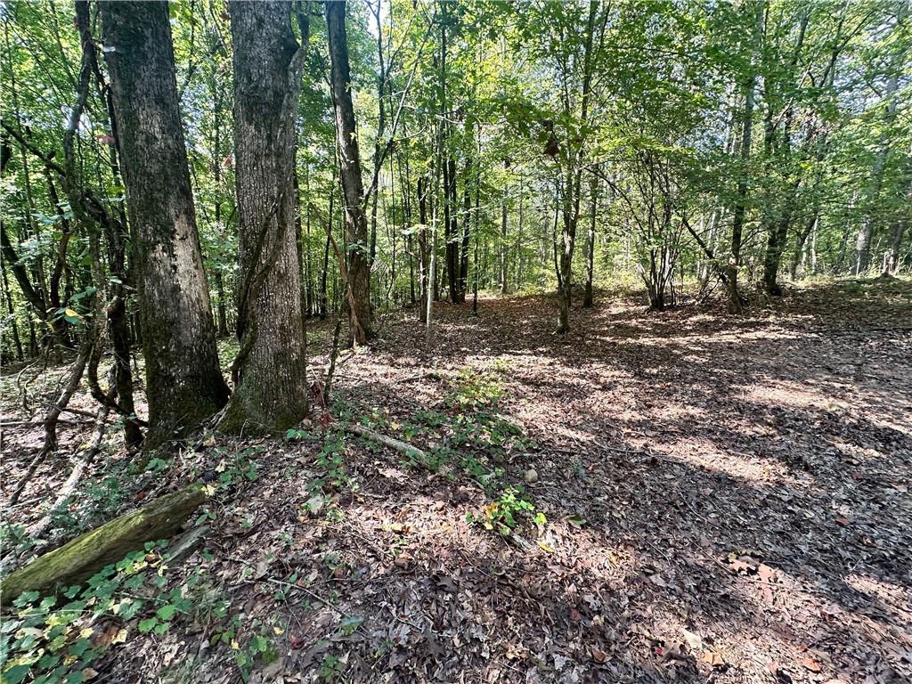 7330 Frix Road Cumming, GA 30028 - Photo 17 of 32 a view of a forest with trees in the background